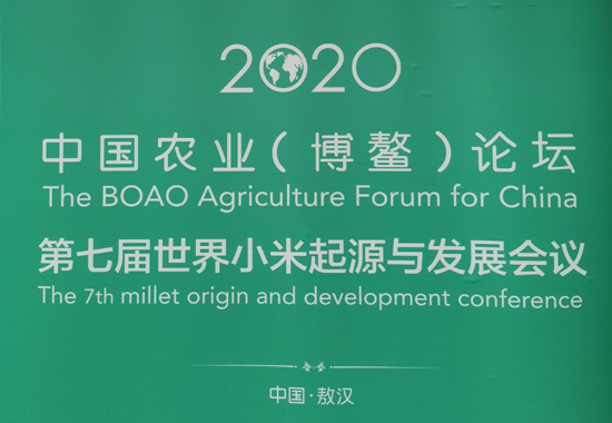 1605325526255096.jpg 333.jpg