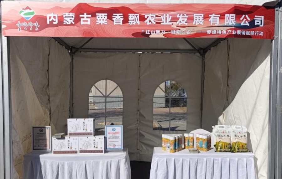 1745370992212228.jpeg 3.jpeg